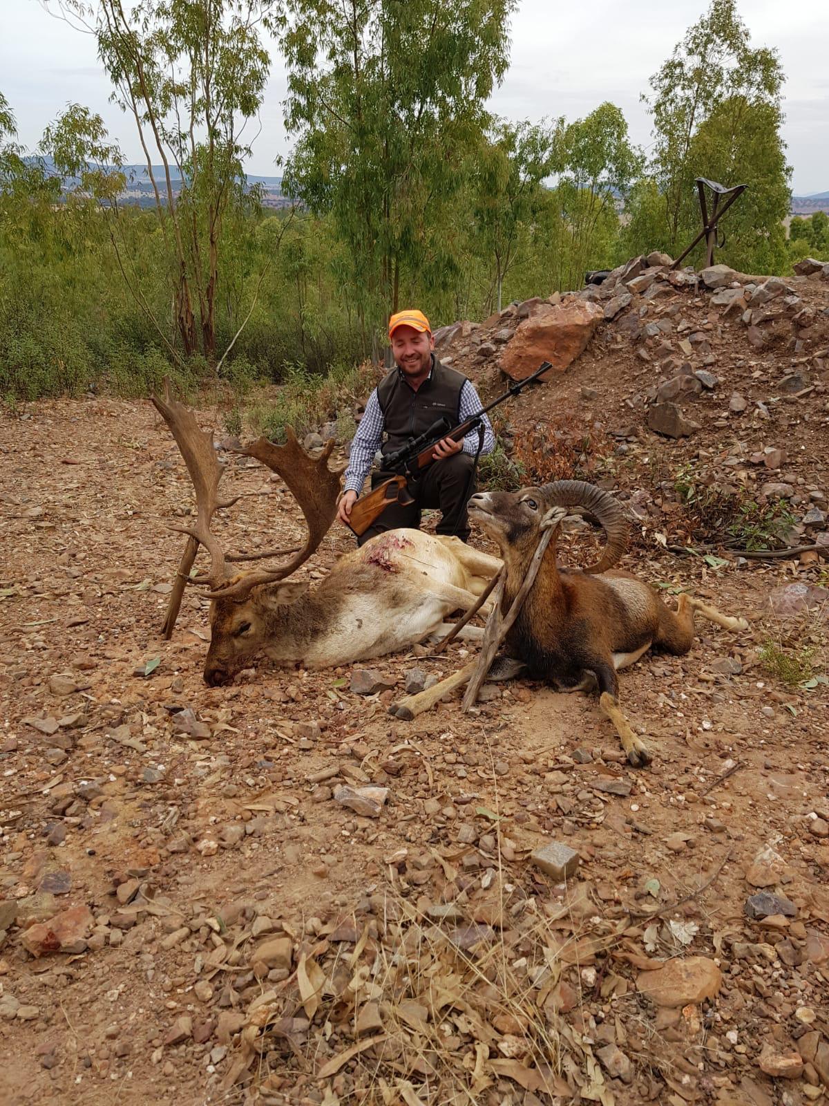Rececho de muflón con Sierra del Oro.