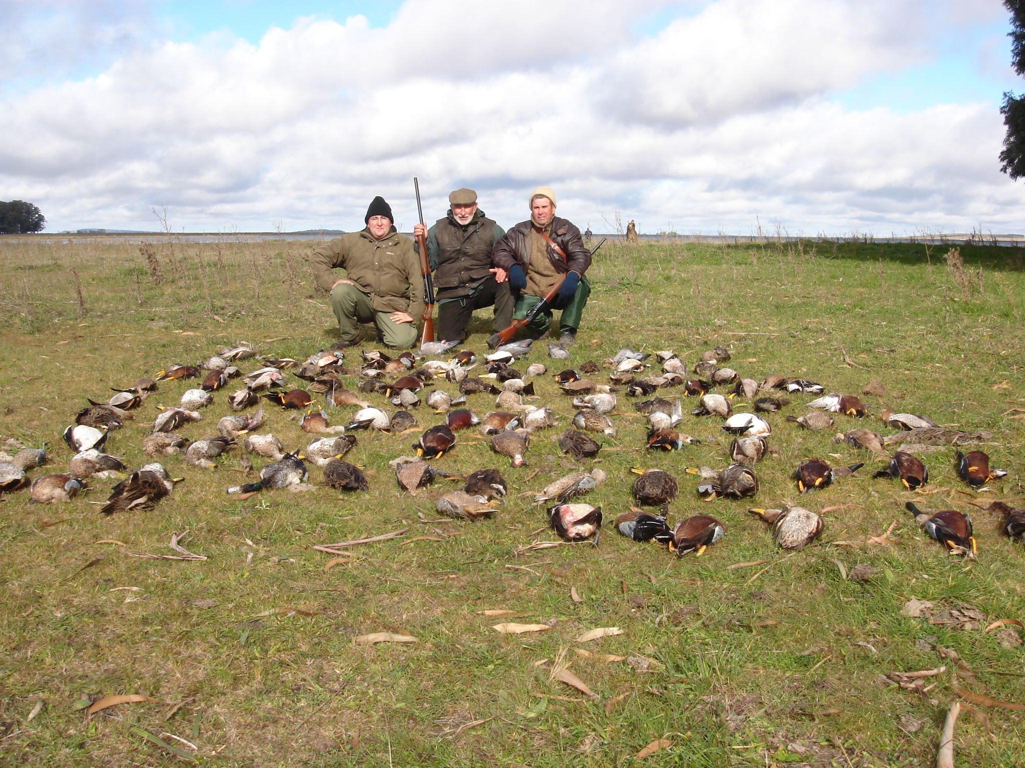 Caza de patos con Sierra del Oro en Argentina